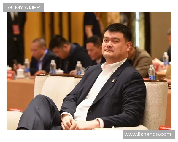 磁县姚明何的传奇人生与篮球梦想的追寻之路