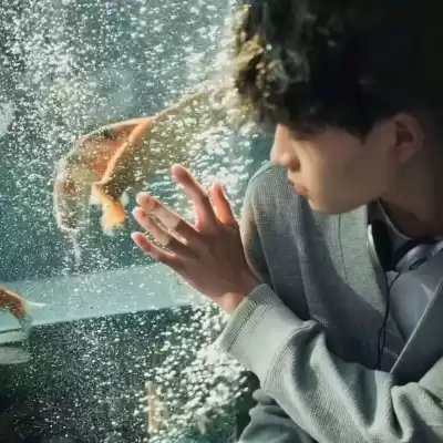 傅丹洁